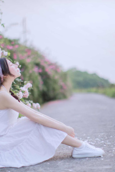 欢乐颂5全50集手机版